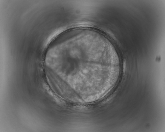 X0000112031405200908241527