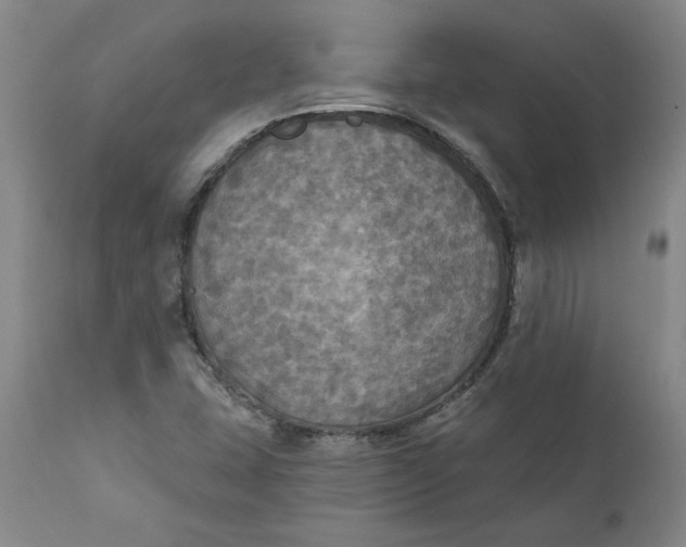 X0000112031407200908241527