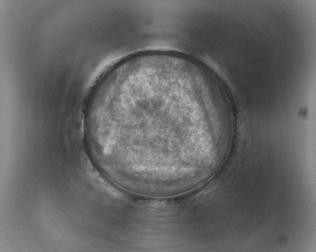 X0000112031408200908241527