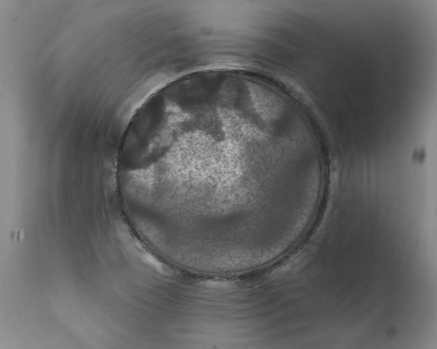 X0000112031409200908241527