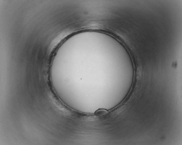 X0000112031410200908241527