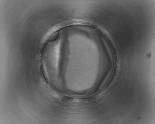 X0000112031411200908241527