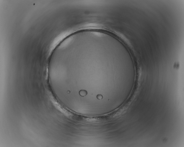 X0000112031413200908241527