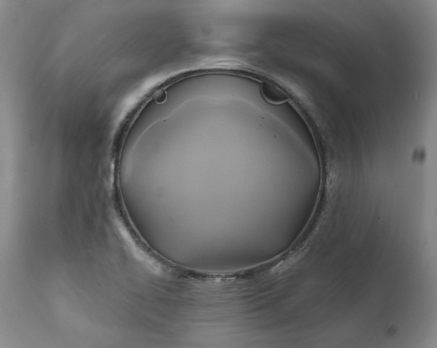 X0000112031414200908241527