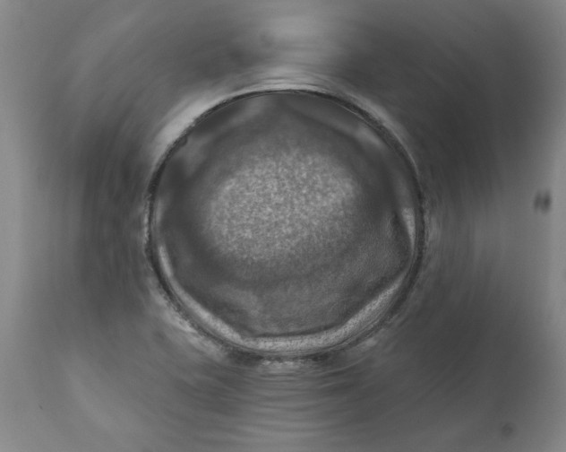 X0000112031415200908241527