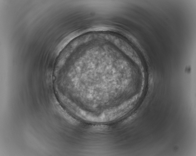 X0000112031417200908241528