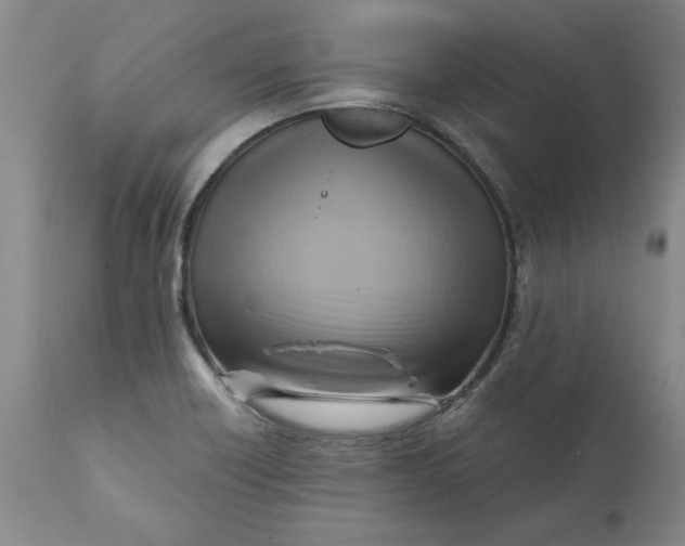 X0000112031418200908241528