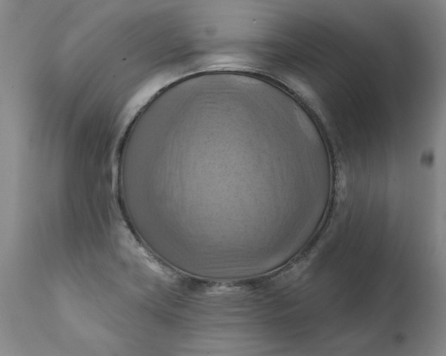 X0000112031419200908241528