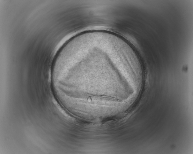 X0000112031420200908241528