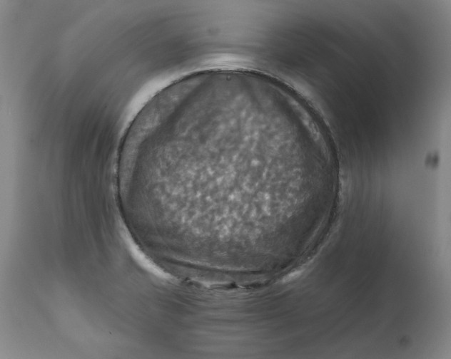 X0000112031421200908241528