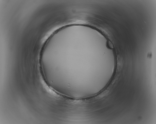 X0000112031422200908241528