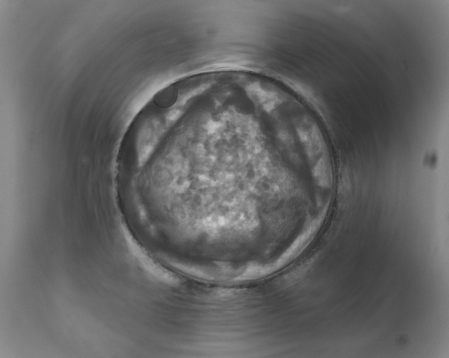 X0000112031423200908241528