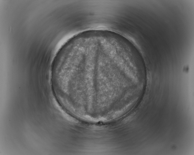 X0000112031424200908241528