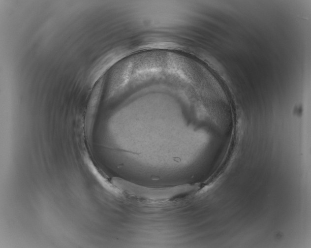 X0000112031425200908241528