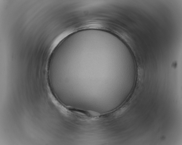 X0000112031426200908241528