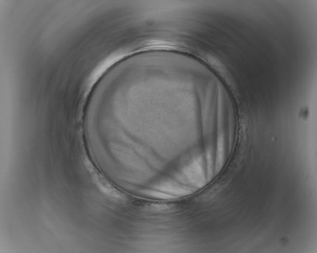 X0000112031427200908241528