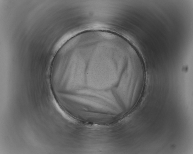 X0000112031429200908241528