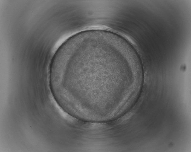 X0000112031430200908241528