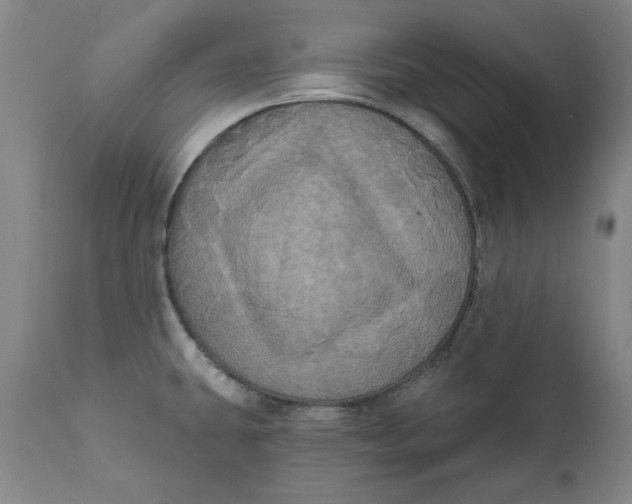 X0000112031431200908241528