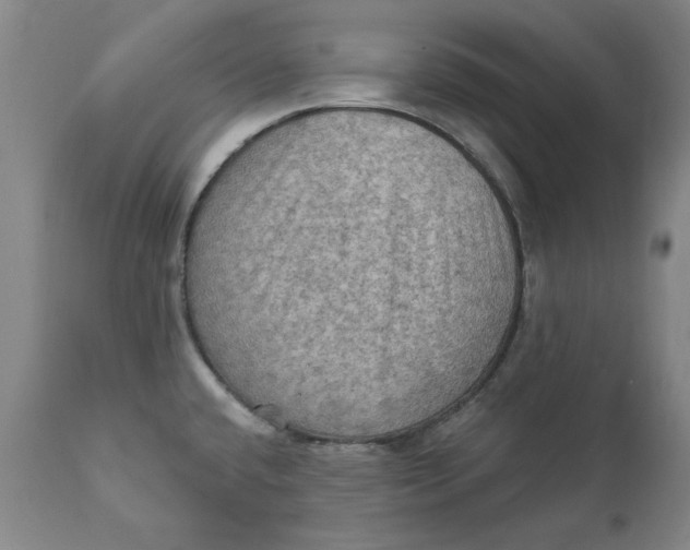 X0000112031432200908241528