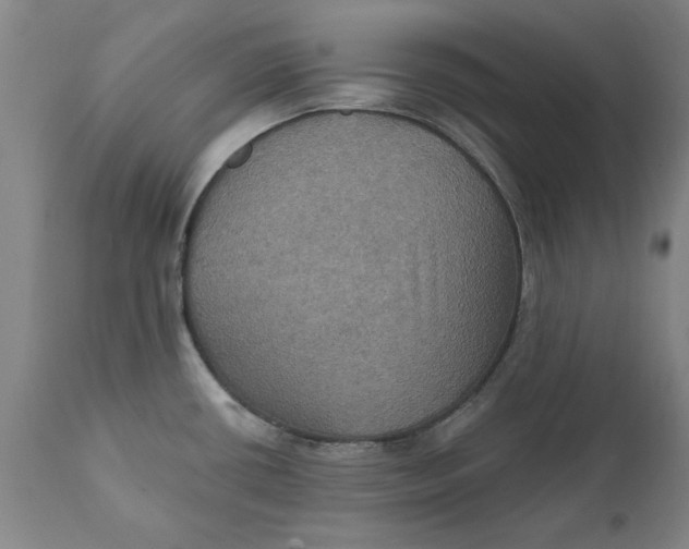 X0000112031434200908241528