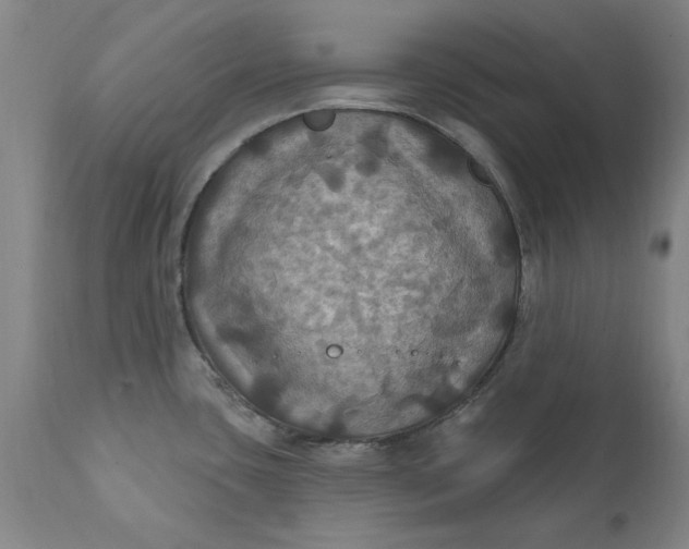 X0000112031435200908241528