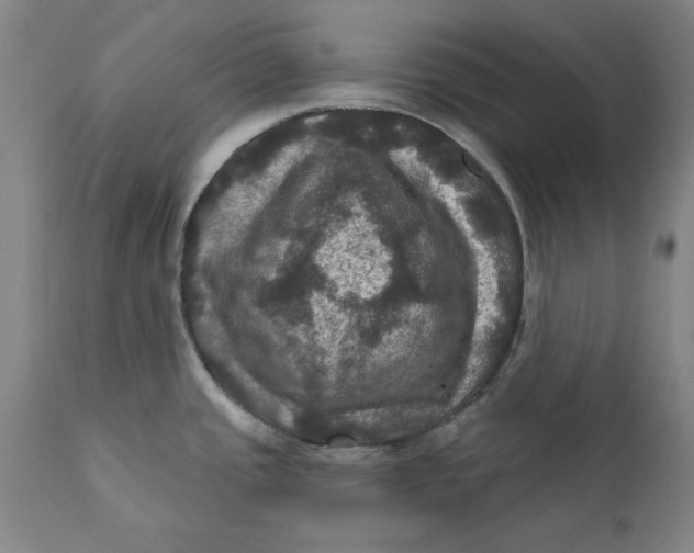 X0000112031437200908241528