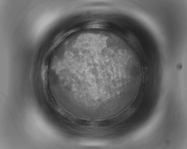 X0000112031438200908241528