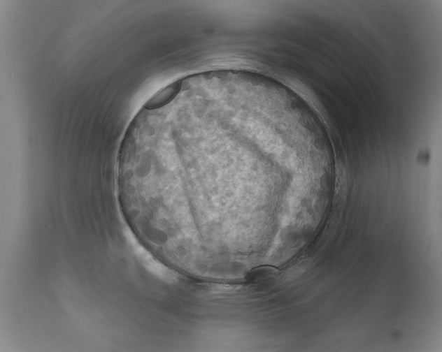 X0000112031439200908241528