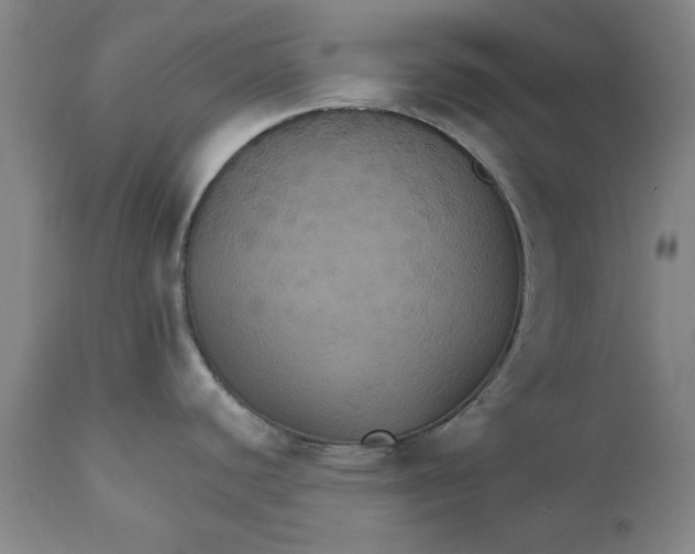 X0000112031440200908241528