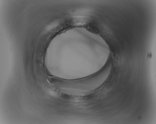 X0000112031441200908241527