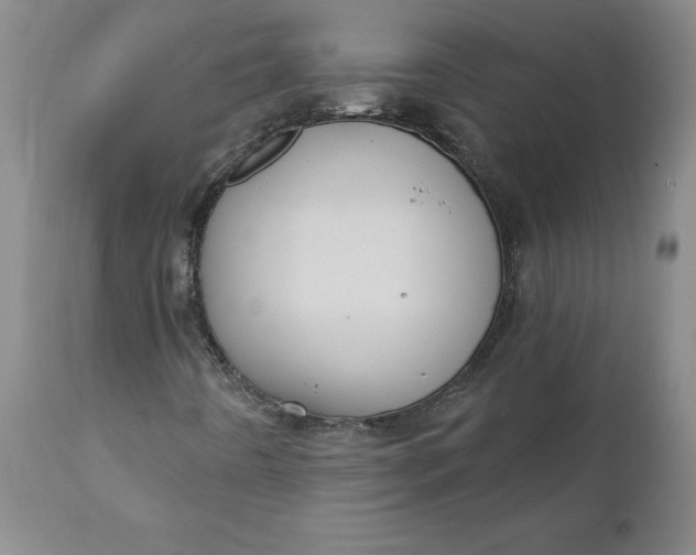 X0000112031442200908241527