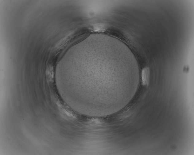 X0000112031443200908241527