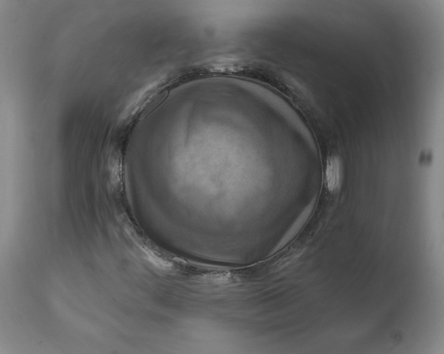 X0000112031444200908241527