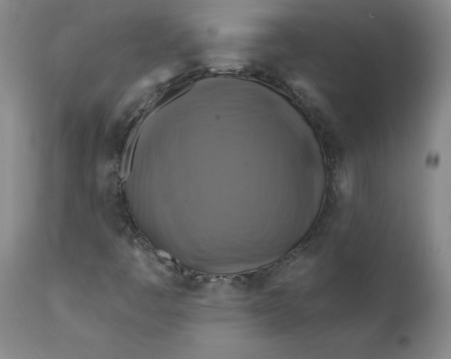 X0000112031445200908241527