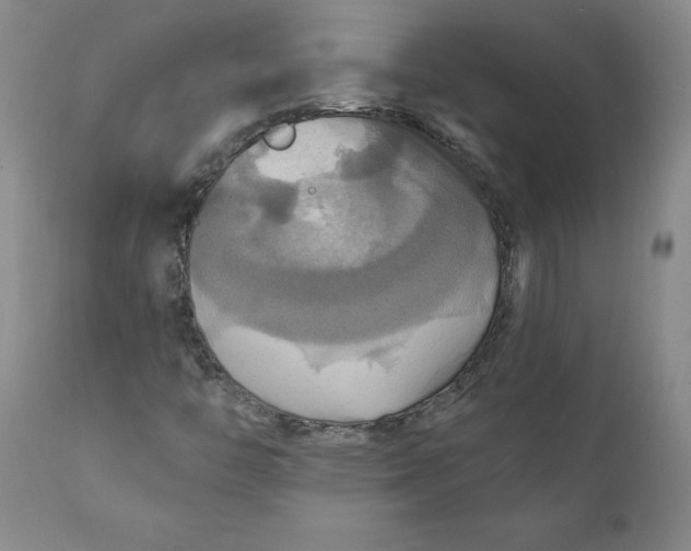 X0000112031446200908241527