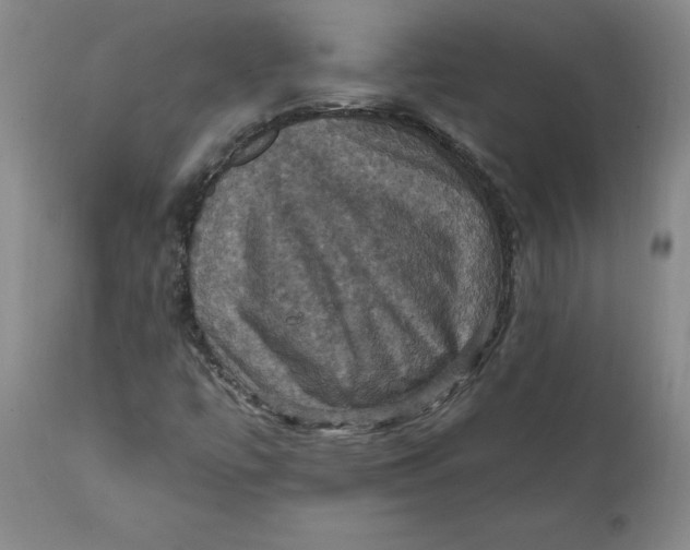 X0000112031447200908241527