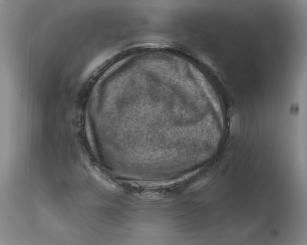 X0000112031448200908241527