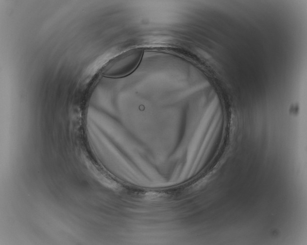 X0000112031449200908241527