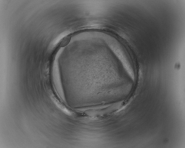 X0000112031450200908241527