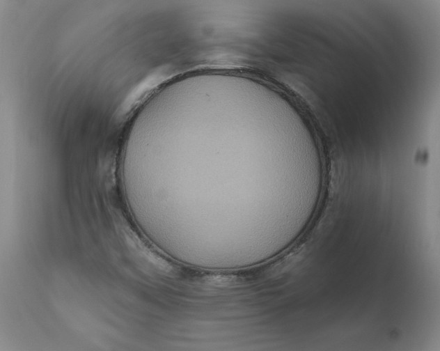 X0000112031451200908241527