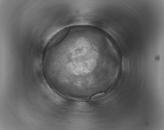 X0000112031452200908241527