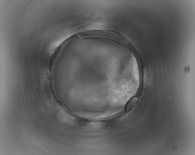 X0000112031453200908241527