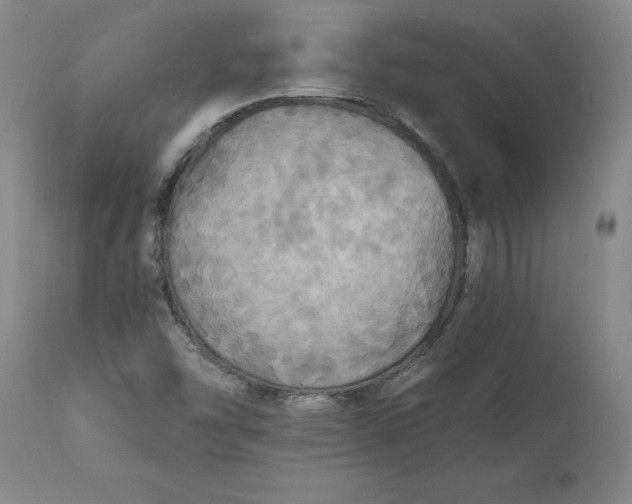 X0000112031454200908241527