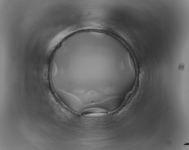 X0000112031455200908241527