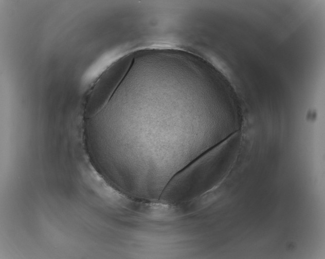 X0000112031456200908241527