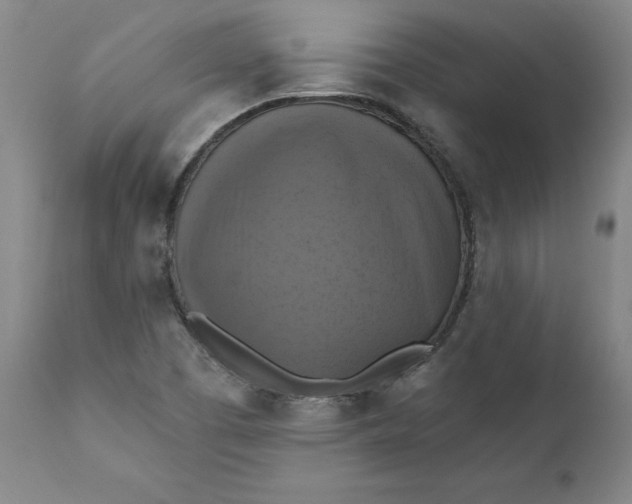 X0000112031457200908241527