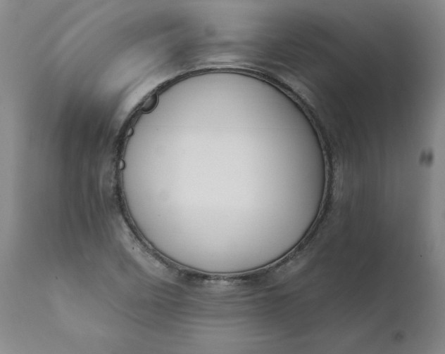 X0000112031458200908241527