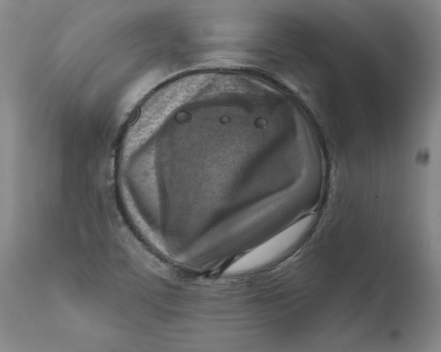 X0000112031459200908241527