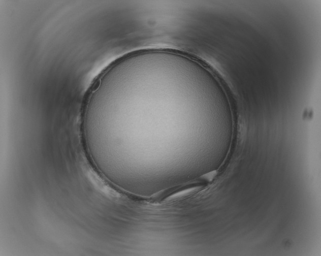 X0000112031460200908241527